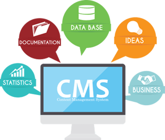 CMS Development