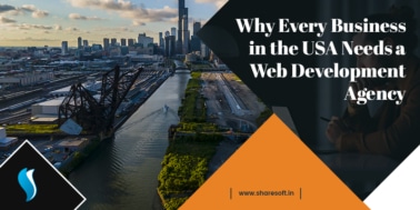 Why Every Business in the USA Needs a Web Development Agency